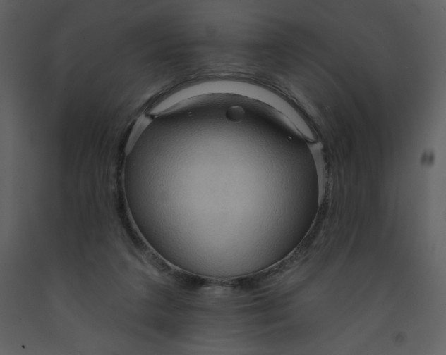 X0000093250211200710171433