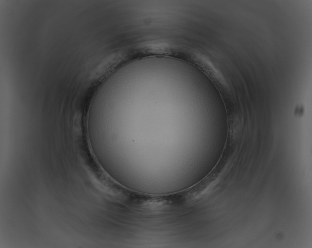 X0000093250213200710171433