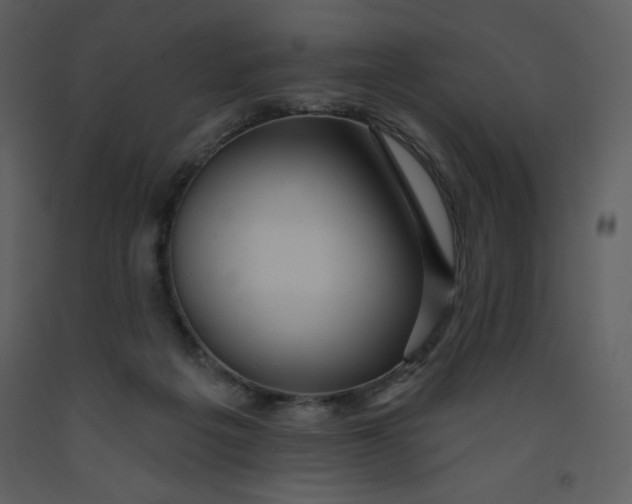 X0000093250217200710171433