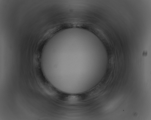 X0000093250218200710171433