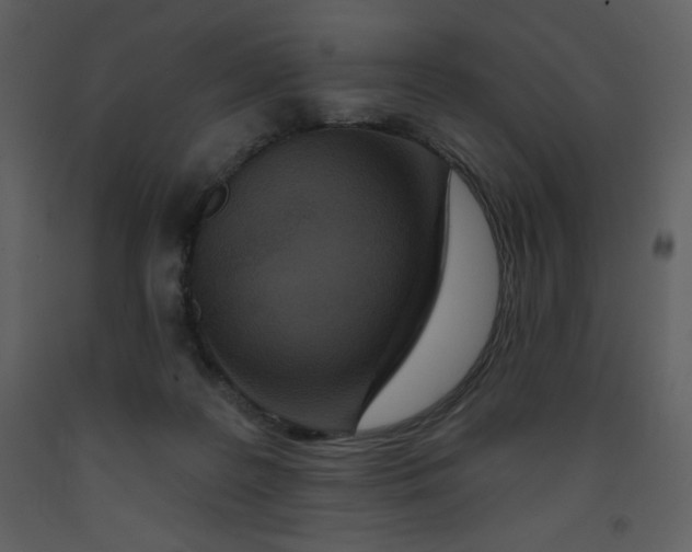 X0000093250219200710171433