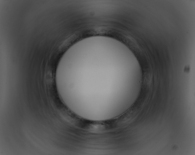 X0000093250220200710171433