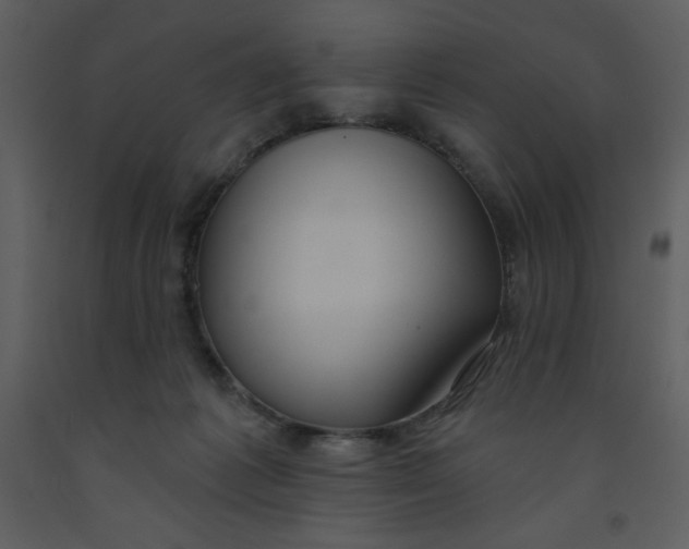 X0000093250221200710171433