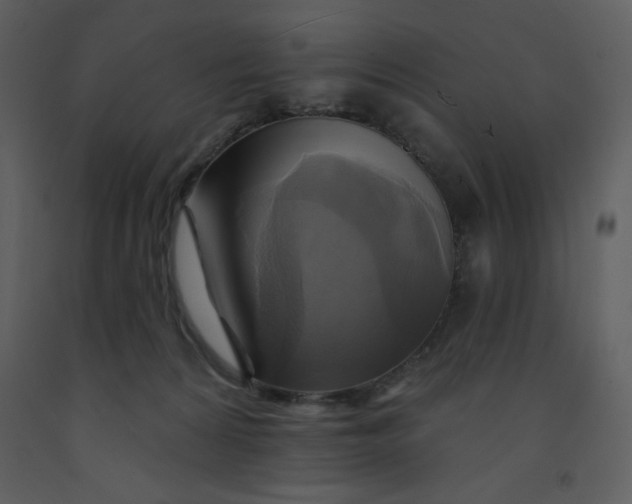 X0000093250224200710171433