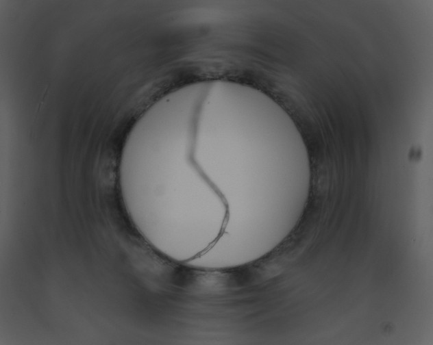 X0000093250226200710171433