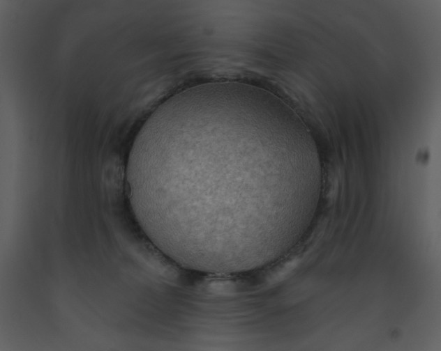 X0000093250228200710171433