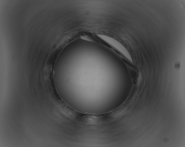 X0000093250229200710171433