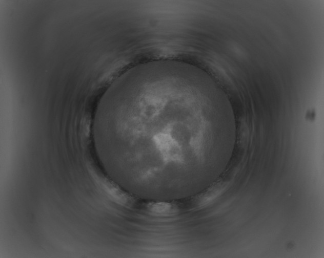 X0000093250230200710171433