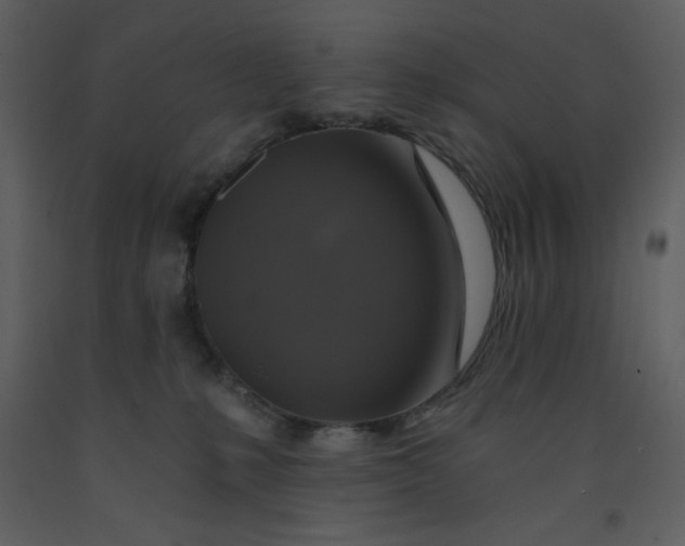 X0000093250231200710171433