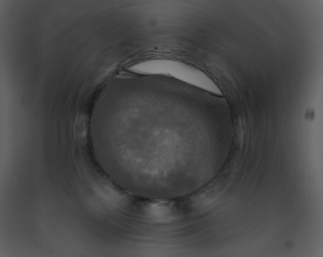 X0000093250232200710171433