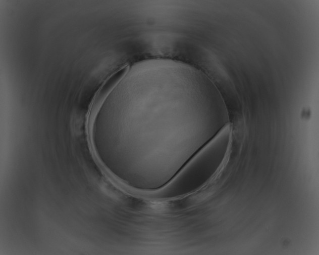 X0000093250233200710171433