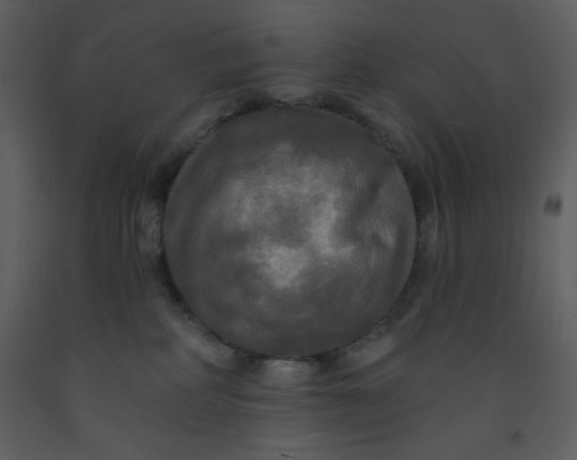 X0000093250234200710171433