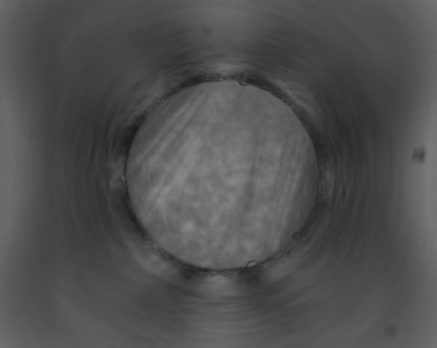 X0000093250236200710171433