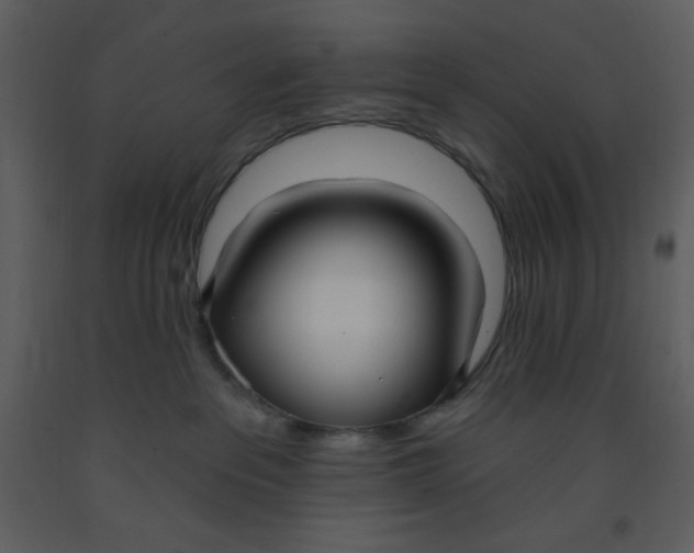 X0000093250237200710171433