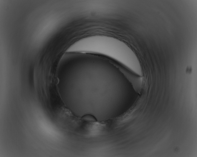 X0000093250239200710171433