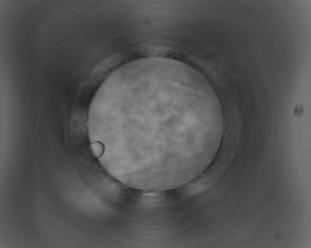 X0000093250240200710171433