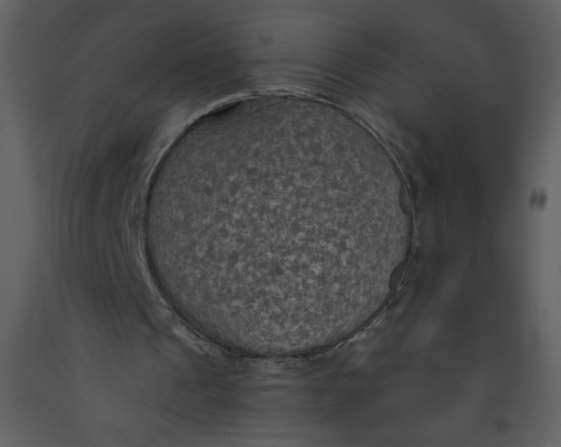 X0000093250241200710171432