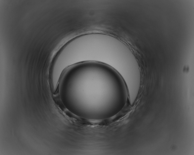 X0000093250244200710171432