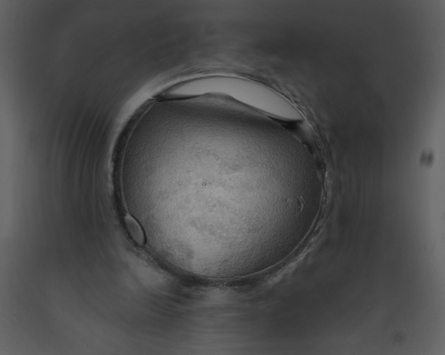 X0000093250246200710171432