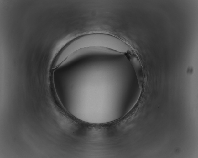 X0000093250248200710171432