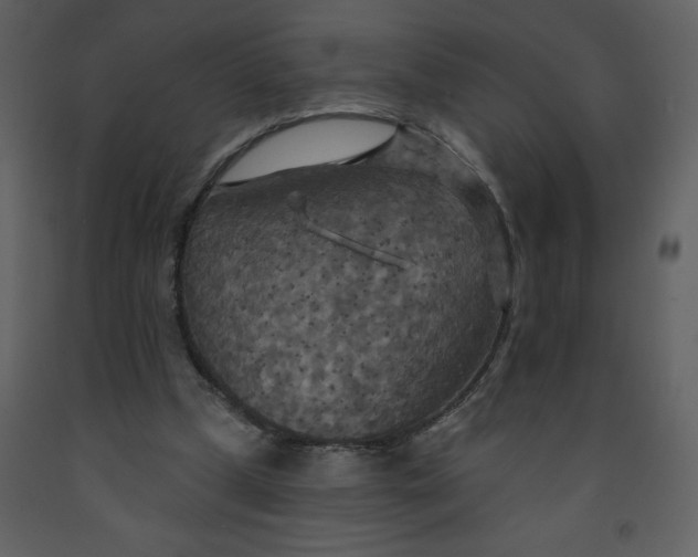 X0000093250249200710171432