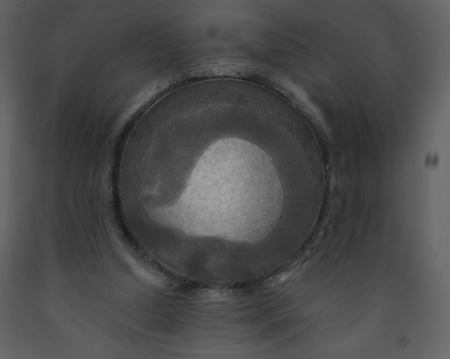 X0000093250250200710171432