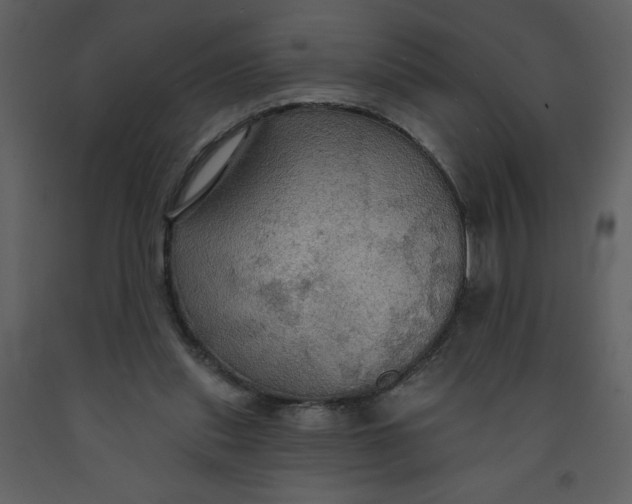 X0000093250253200710171432