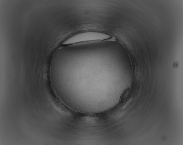 X0000093250255200710171432