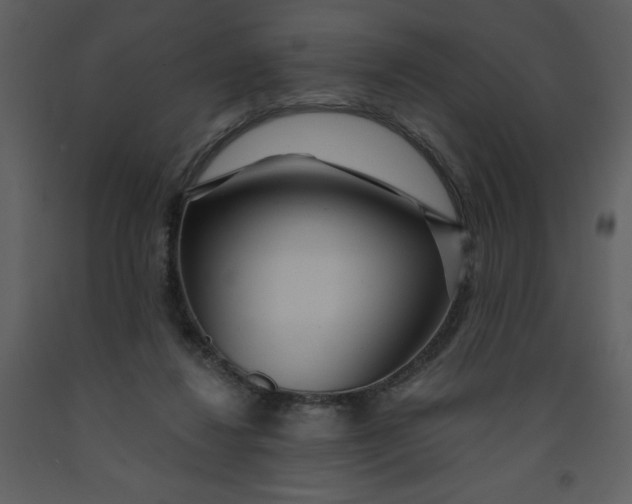 X0000093250260200710171432