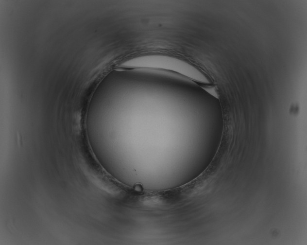 X0000093250262200710171432