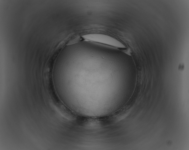 X0000093250263200710171432