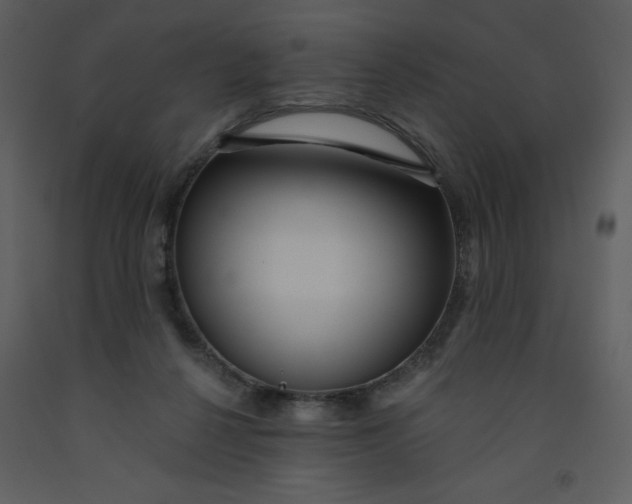 X0000093250264200710171432