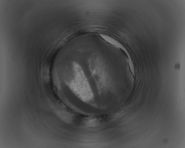 X0000093250267200710171433