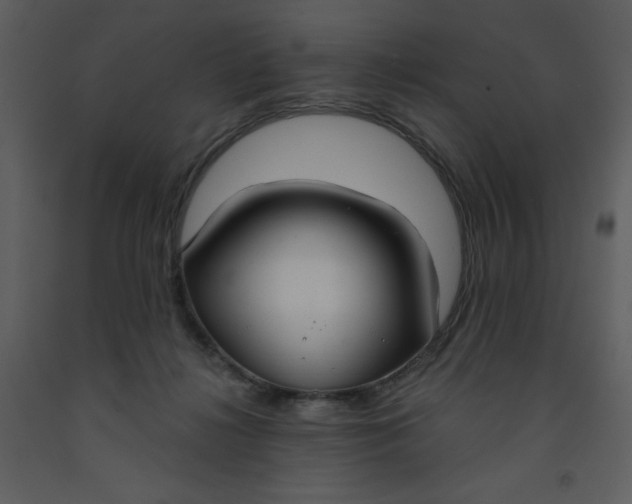 X0000093250268200710171433