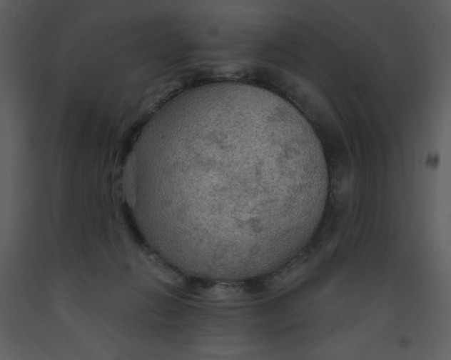 X0000093250270200710171433