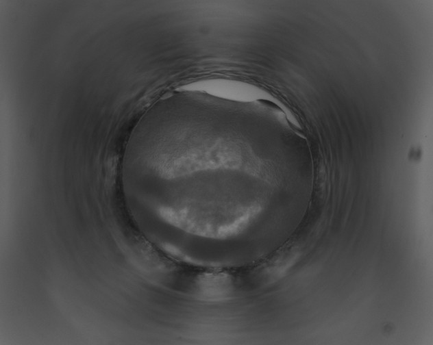 X0000093250271200710171433