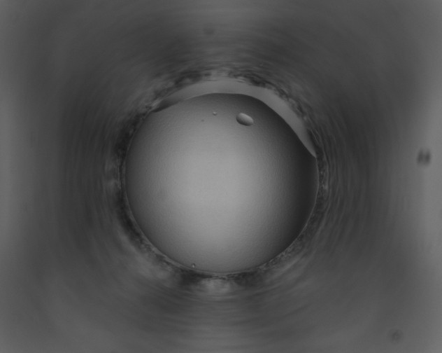 X0000093250272200710171433