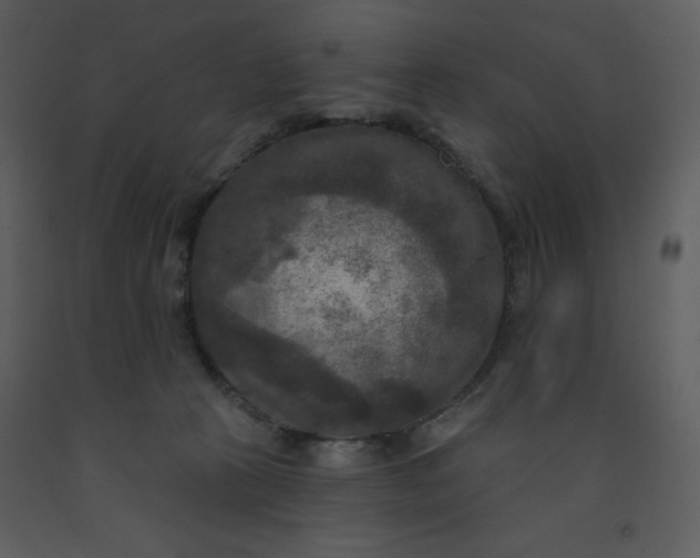 X0000093250273200710171433