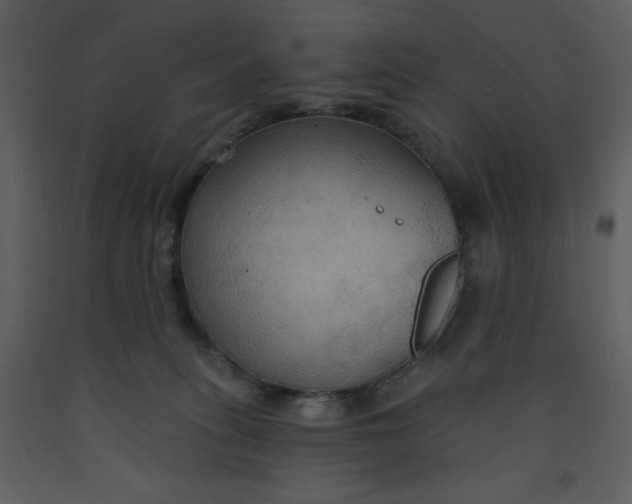 X0000093250275200710171433