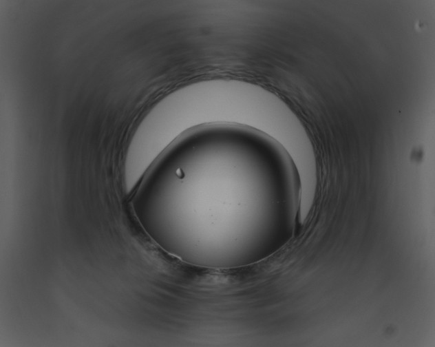 X0000093250276200710171433