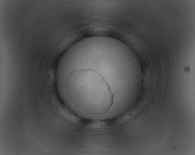 X0000093250278200710171433