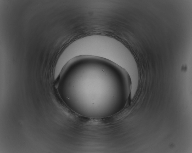 X0000093250280200710171433