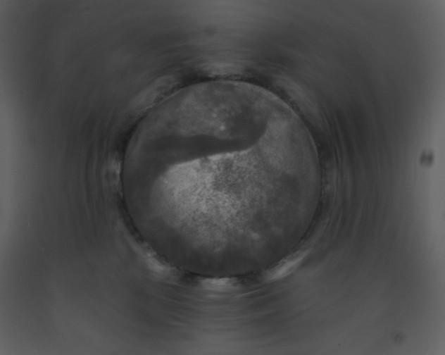 X0000093250281200710171433