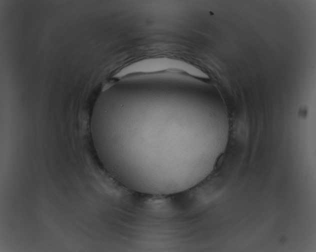 X0000093250283200710171433