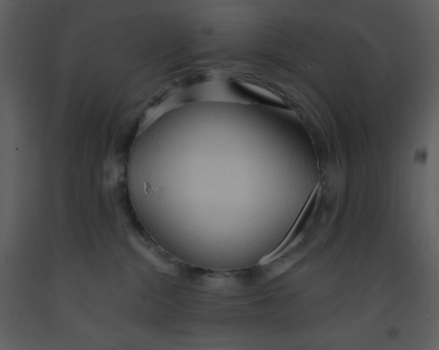 X0000093250284200710171433