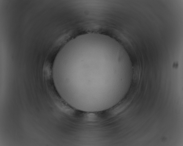 X0000093250287200710171433