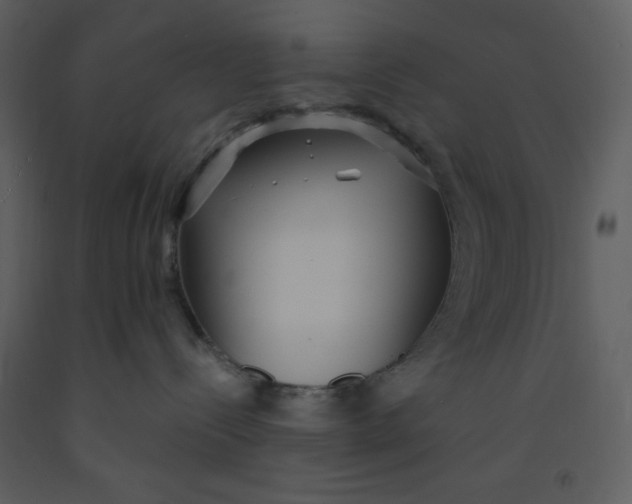 X0000093250288200710171433