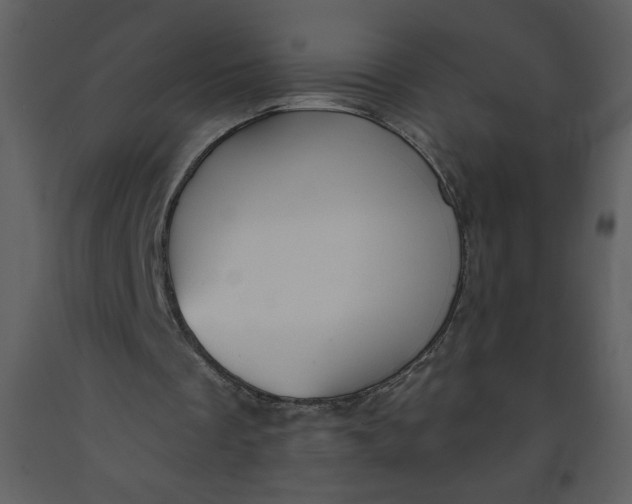 X0000093250289200710171432