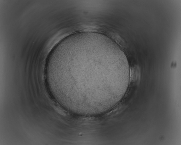 X0000093250291200710171432