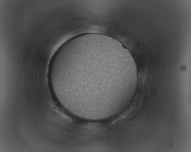 X0000093250292200710171432